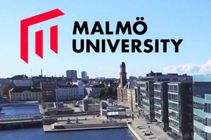 Swedish TranspAdmin.jpg